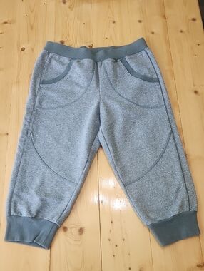 Adidas By Stella McCartney Cropped 3/4 Jogger Capri Yoga Track Sweatpants Size S